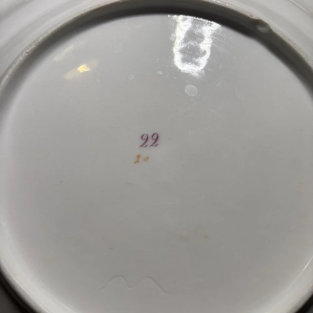 Vintage Porcelain Plates Lot If Two. Floral,‎ Gold Trim. 8.5 Inches.